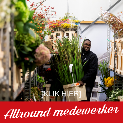 vacature-allround-medewerker