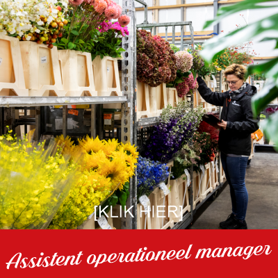 vacature-assistent-operationee