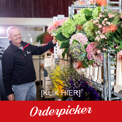 vacature-orderpicker